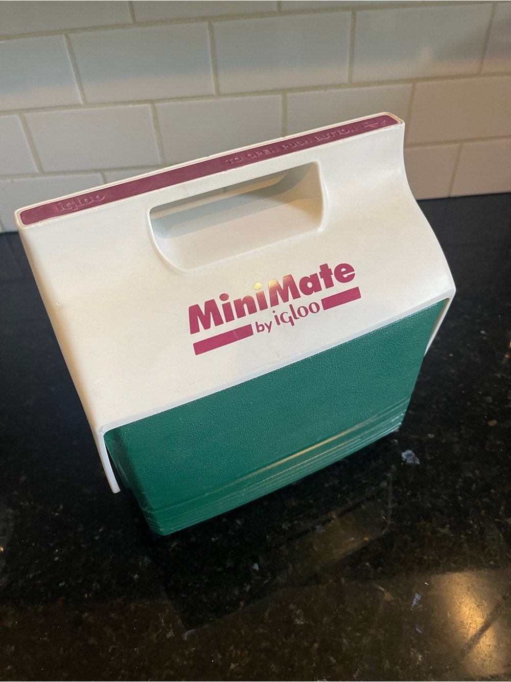 Vintage Igloo Mini Mate Cooler Retro Personal Lunch Cooler Green White Pink